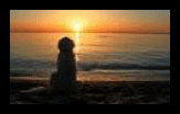 HaveTheBestDog/22222222.gif