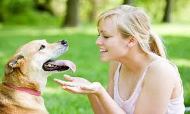HaveTheBestDog/ablondewithdog.jpg