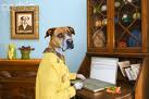 HaveTheBestDog/edog5.jpg