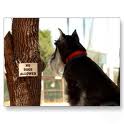 HaveTheBestDog/lasgn.jpg