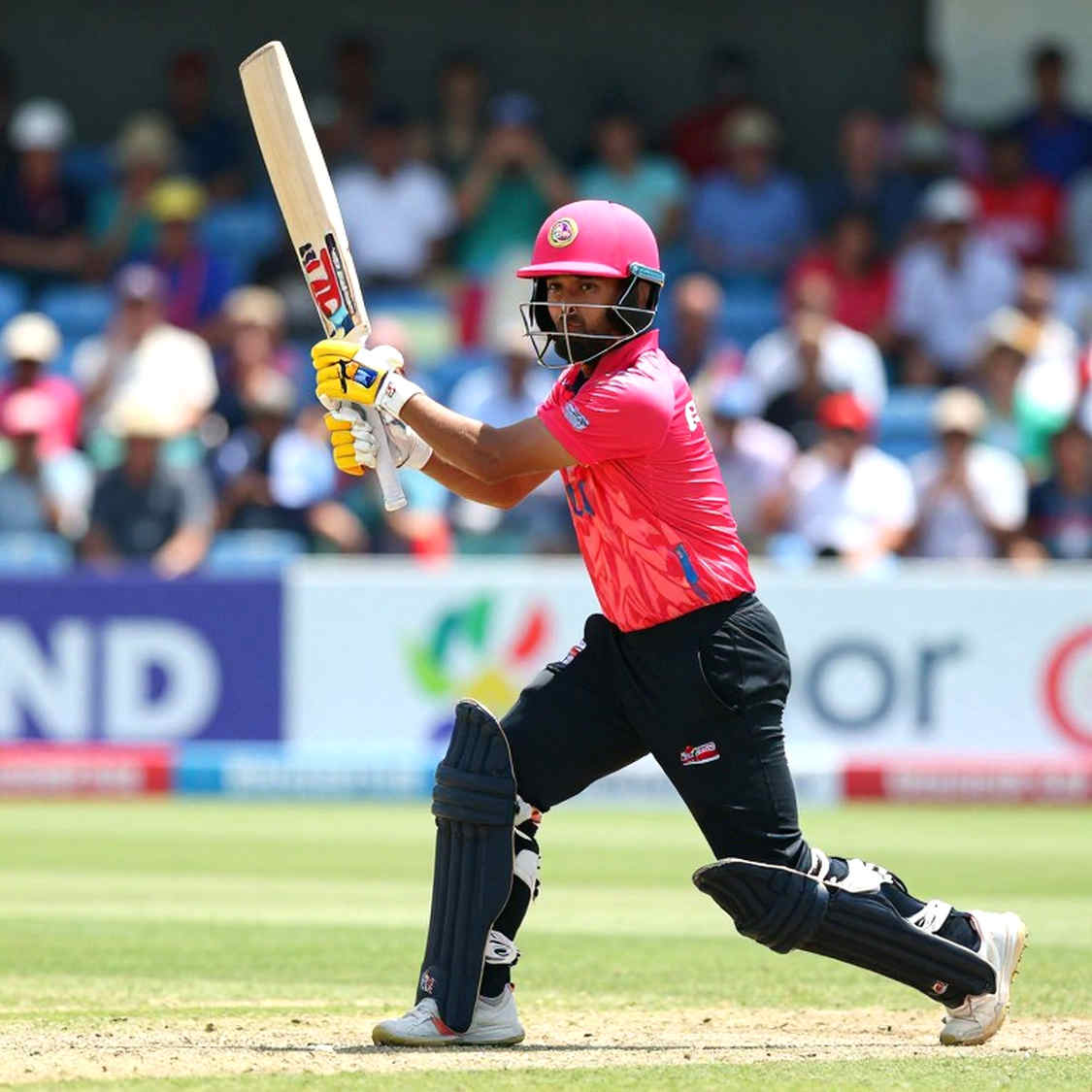 Cricket's Data Crisis in the Blockchain Era: Why 'Insufficient Information' Is an Analyst's Bravest Line