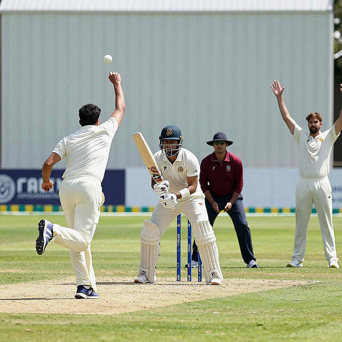 Cricket Analysis's Empty Payload: When a Link in the Data Chain Goes Missing